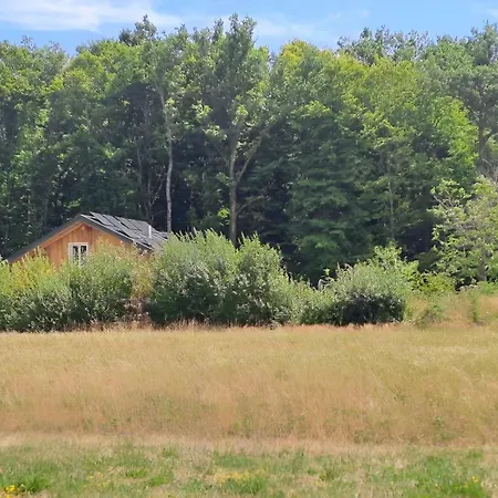 Le De La Foret, Ideal For Your Reunions Alpstuga