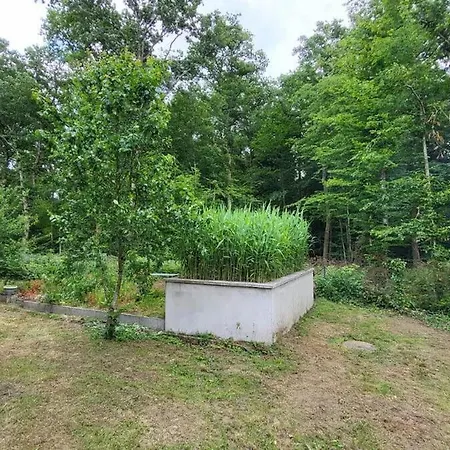 Le De La Foret, Ideal For Your Reunions * Guewenheim